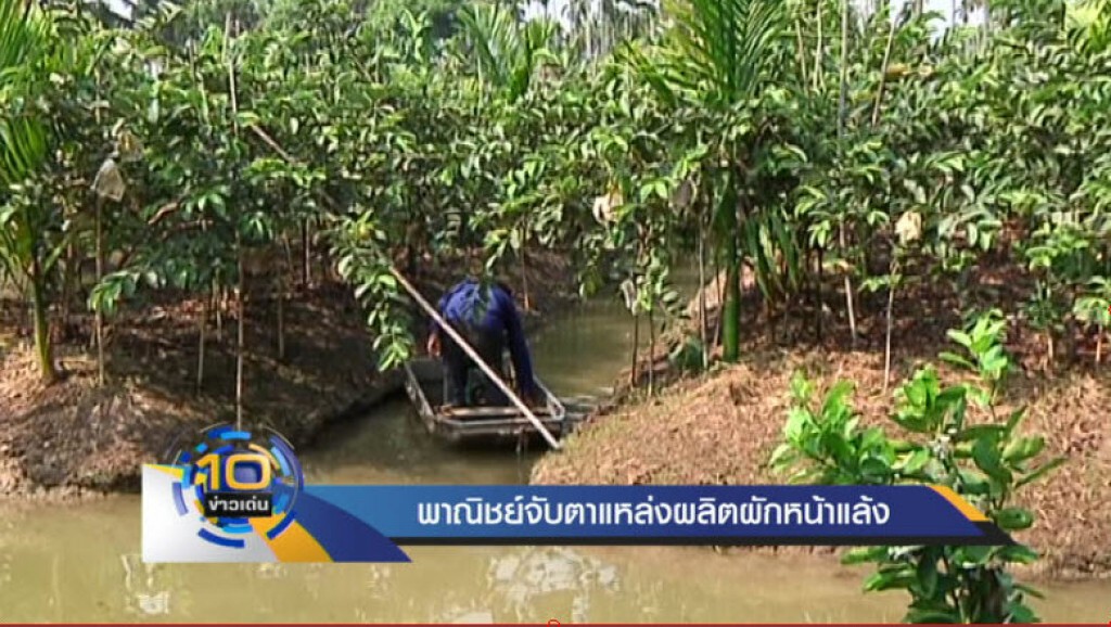 พาณิชย์จับตาพืชผักกระทบภัยแล้ง พาณิชย์จับตาพืชผักกระทบภัยแล้ง