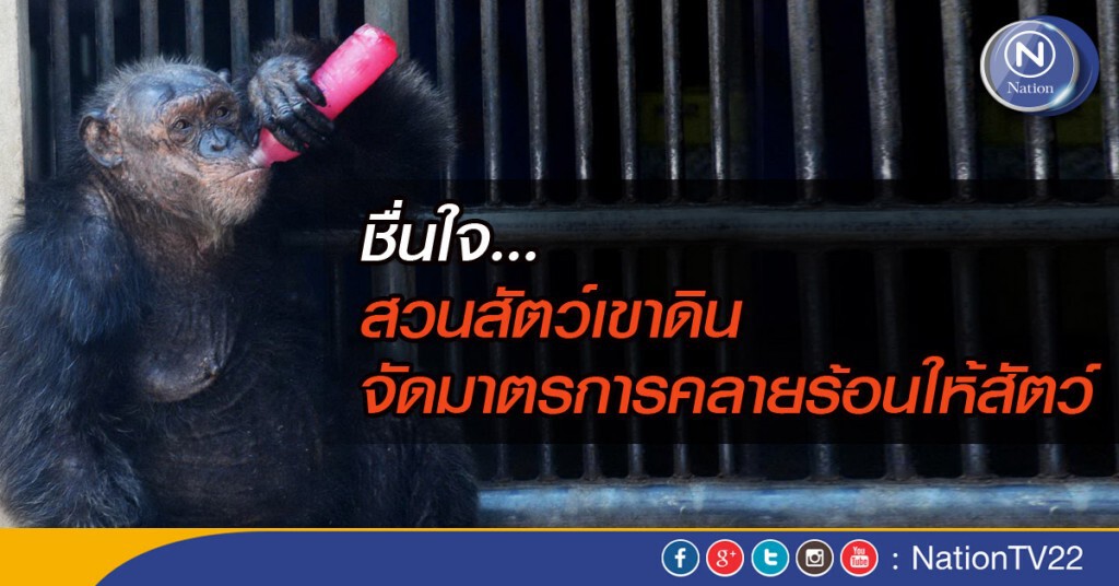 สวนสัตว์เขาดิน จัดมาตรการคลายร้อนให้สัตว์ สวนสัตว์เขาดิน จัดมาตรการคลายร้อนให้สัตว์