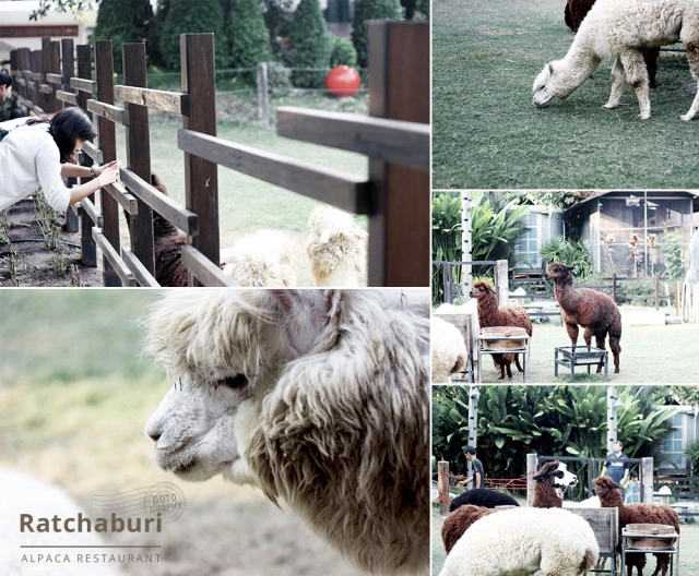 Gotography : ราชบุรี ศิลปะสู่ประวัติศาสตร์