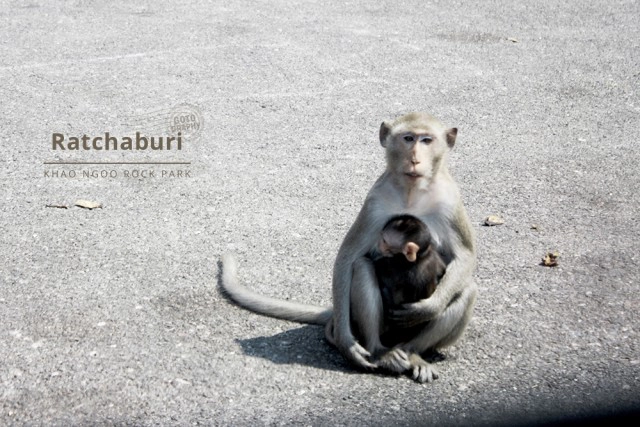 Gotography : ราชบุรี ศิลปะสู่ประวัติศาสตร์