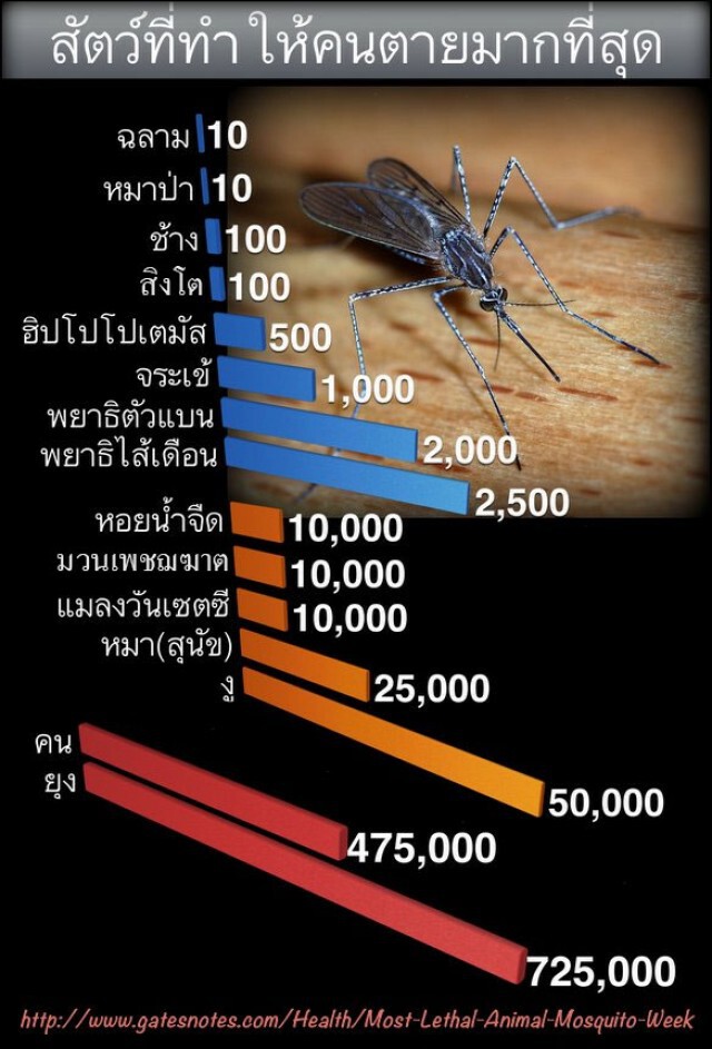 โลกร้อนทำให้ยุงดุ