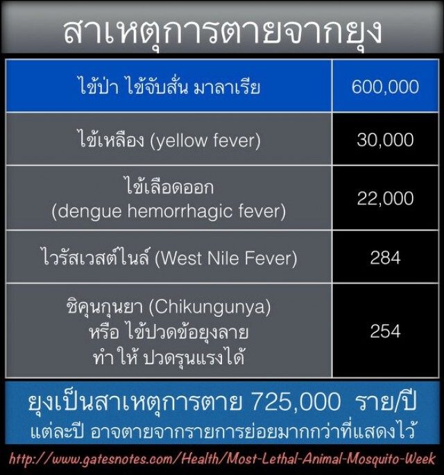 โลกร้อนทำให้ยุงดุ