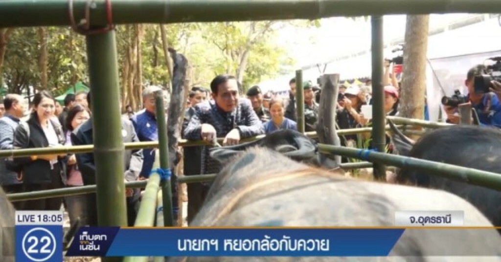 นายกฯ อารมณ์ดีป้อนหญ้าควาย บอกให้ทำดีชาติหน้าได้เกิดเป็นคน นายกฯ อารมณ์ดีป้อนหญ้าควาย บอกให้ทำดีชาติหน้าได้เกิดเป็นคน