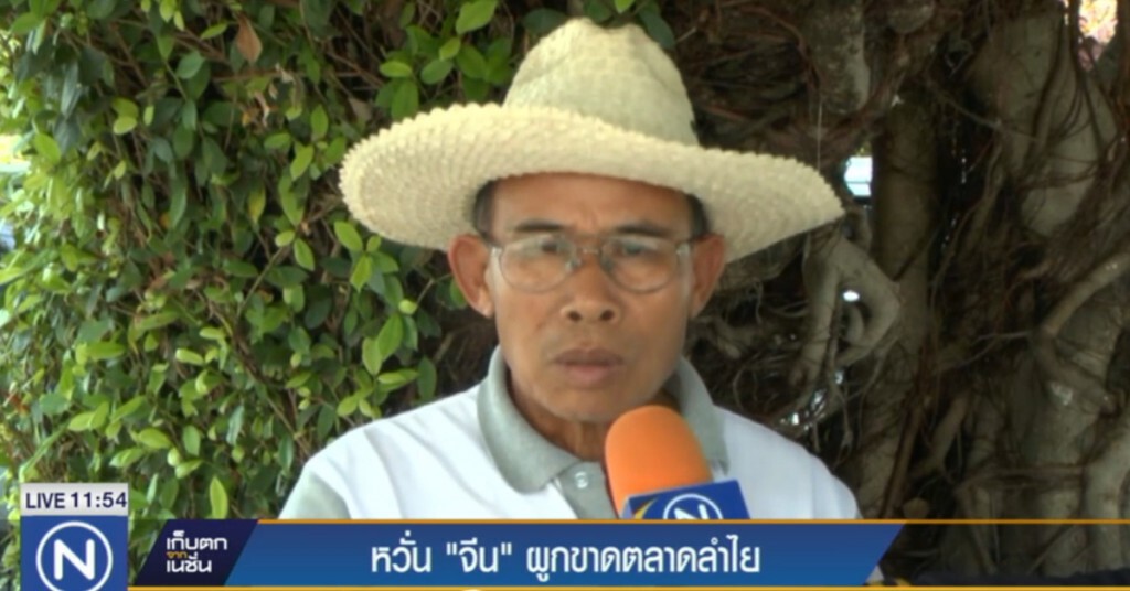 หวั่นจีนผูกขาดตลาดลำใย หวั่นจีนผูกขาดตลาดลำใย