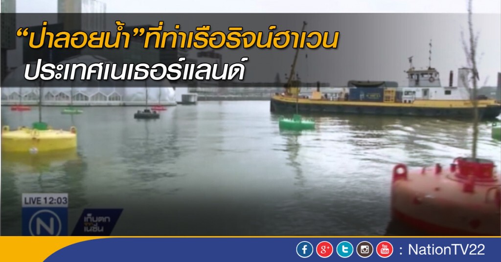 ป่าลอยน้ำใน "เนเธอร์แลนด์" ป่าลอยน้ำใน "เนเธอร์แลนด์"