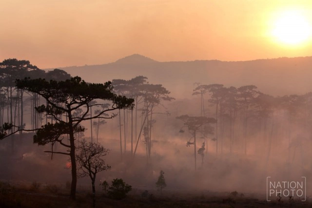 ไฟไหม้ป่าสน! เขตรักษาพันธ์ุสัตว์ป่าภูหลวง