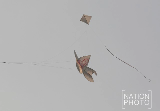 ชมรมกีฬาว่าวไทยจุฬา-ปักเป้า จัดงานมหกรรมว่าวไทยประจำปี 2559