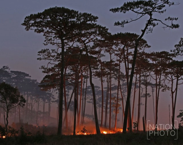 ไฟไหม้ป่าสน! เขตรักษาพันธ์ุสัตว์ป่าภูหลวง