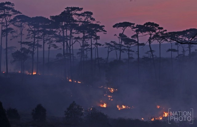ไฟไหม้ป่าสน! เขตรักษาพันธ์ุสัตว์ป่าภูหลวง