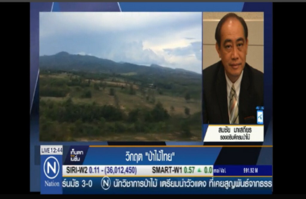 วิกฤต "ป่าไม้ไทย"