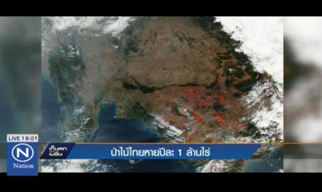 ป่าไม้ไทยหายปีละ 1 ล้านไร่