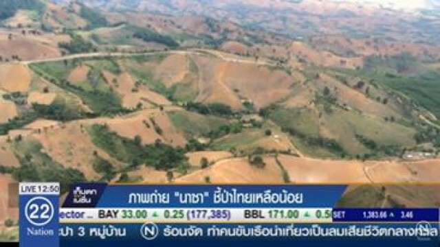 วิกฤต "ป่าไม้ไทย"