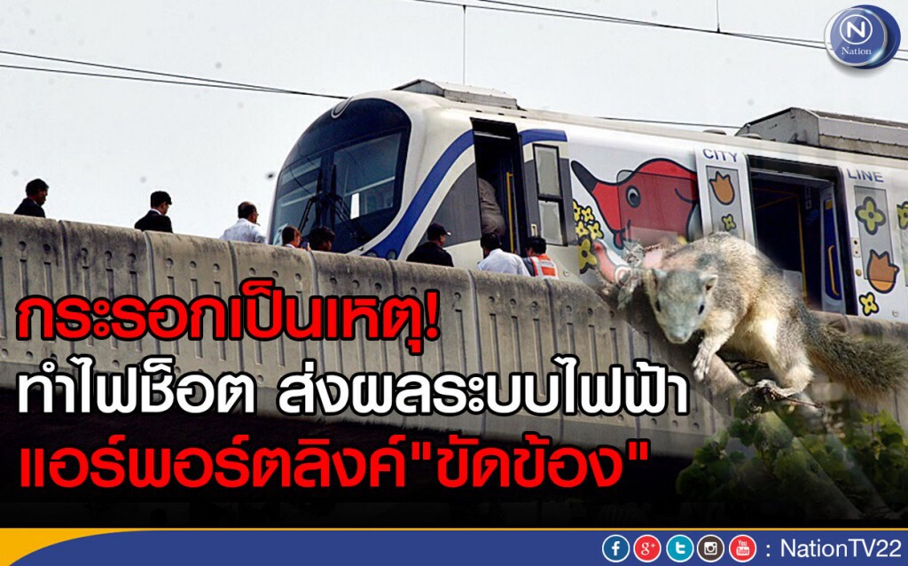 กระรอกเป็นเหตุ!
ทำไฟช็อต ส่งผลระบบไฟฟ้าแอร์พอร์ตลิงค์"ขัดข้อง"