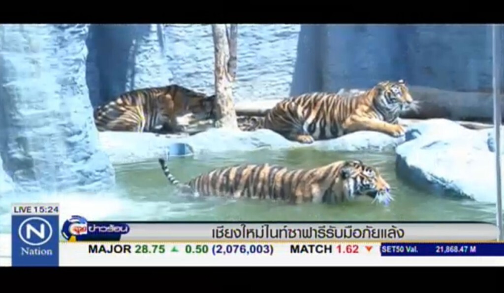เชียงใหม่ไนท์ซาฟารี รับมือภัยแล้ง เชียงใหม่ไนท์ซาฟารี รับมือภัยแล้ง