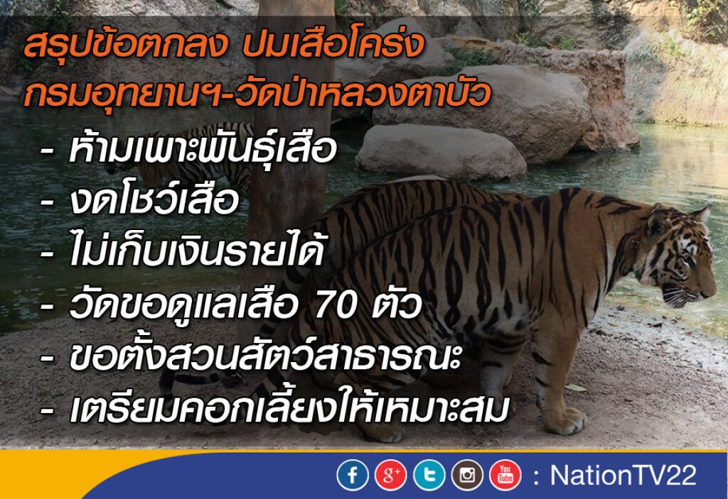วัดเสือยอมรับเงื่อนไขกรมอุทยานฯ แต่ขอเลี้ยงเสือต่อ 70 ตัว