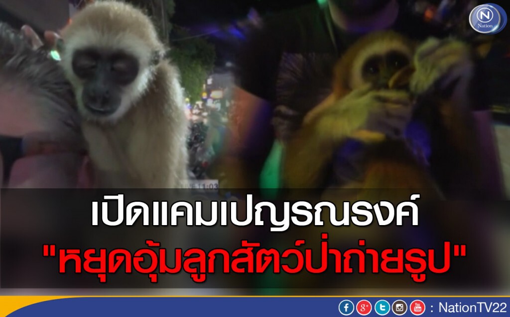 เปิดแคมเปญรณรงค์ "หยุดอุ้มลูกสัตว์ป่าถ่ายรูป" เปิดแคมเปญรณรงค์ "หยุดอุ้มลูกสัตว์ป่าถ่ายรูป"