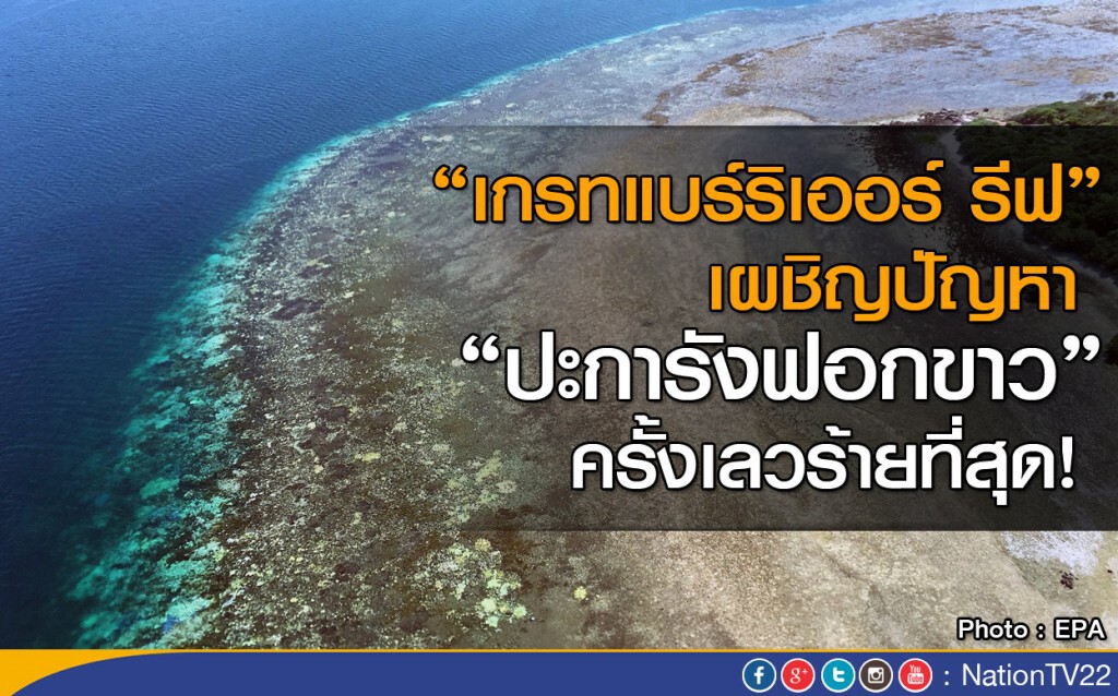 "เกรทแบร์ริเออร์ รีฟ" เผชิญปัญหา"ปะการังฟอกขาว" ครั้งเลวร้ายที่สุด "เกรทแบร์ริเออร์ รีฟ" เผชิญปัญหา"ปะการังฟอกขาว" ครั้งเลวร้ายที่สุด