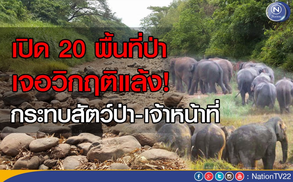 เปิด 20 พื้นที่ป่า วิกฤติภัยแล้ง กระทบ "สัตว์ป่า-จนท." เปิด 20 พื้นที่ป่า วิกฤติภัยแล้ง กระทบ "สัตว์ป่า-จนท."