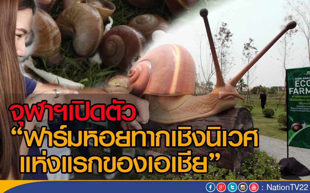 จุฬาฯเปิดตัว “ฟาร์มหอยทากเชิงนิเวศแห่งแรกของเอเชีย”