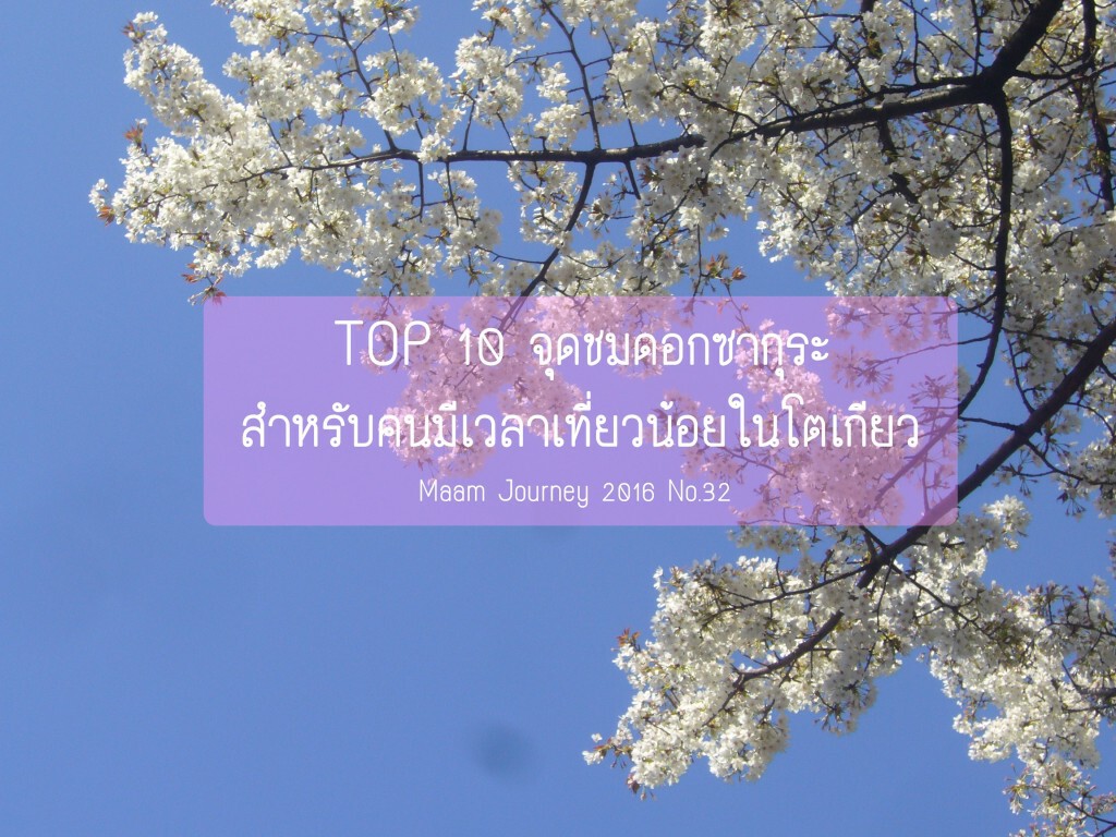 TOP 10 จุดชมดอกซากุระ ในโตเกียว TOP 10 จุดชมดอกซากุระ ในโตเกียว