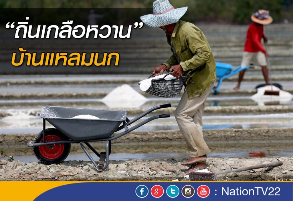 ถิ่นเกลือหวาน บ้านแหลมนก ถิ่นเกลือหวาน บ้านแหลมนก