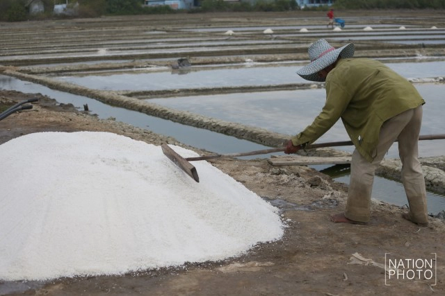 ถิ่นเกลือหวาน บ้านแหลมนก