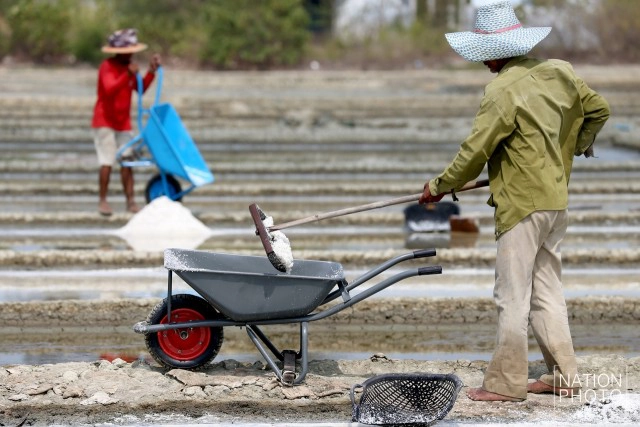 ถิ่นเกลือหวาน บ้านแหลมนก