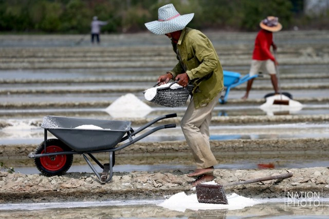 ถิ่นเกลือหวาน บ้านแหลมนก