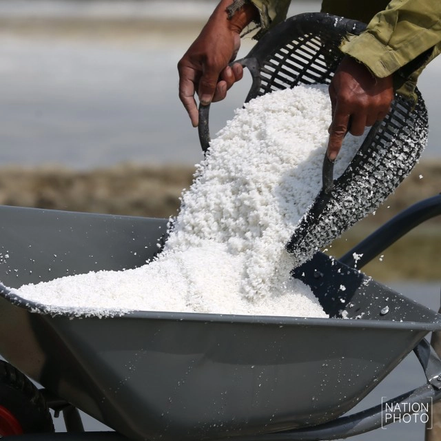 ถิ่นเกลือหวาน บ้านแหลมนก