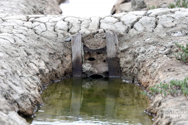 ถิ่นเกลือหวาน บ้านแหลมนก