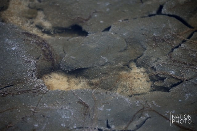 ถิ่นเกลือหวาน บ้านแหลมนก