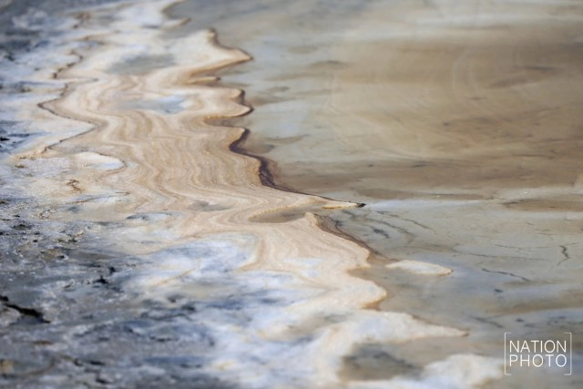 ถิ่นเกลือหวาน บ้านแหลมนก