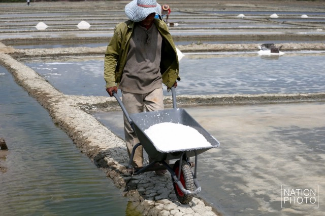 ถิ่นเกลือหวาน บ้านแหลมนก