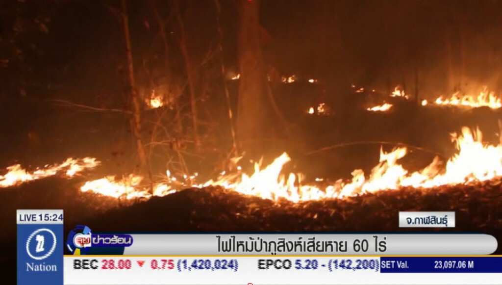 ไฟไหม้ป่าภูสิงห์เสียหาย 60 ไร่ ไฟไหม้ป่าภูสิงห์เสียหาย 60 ไร่