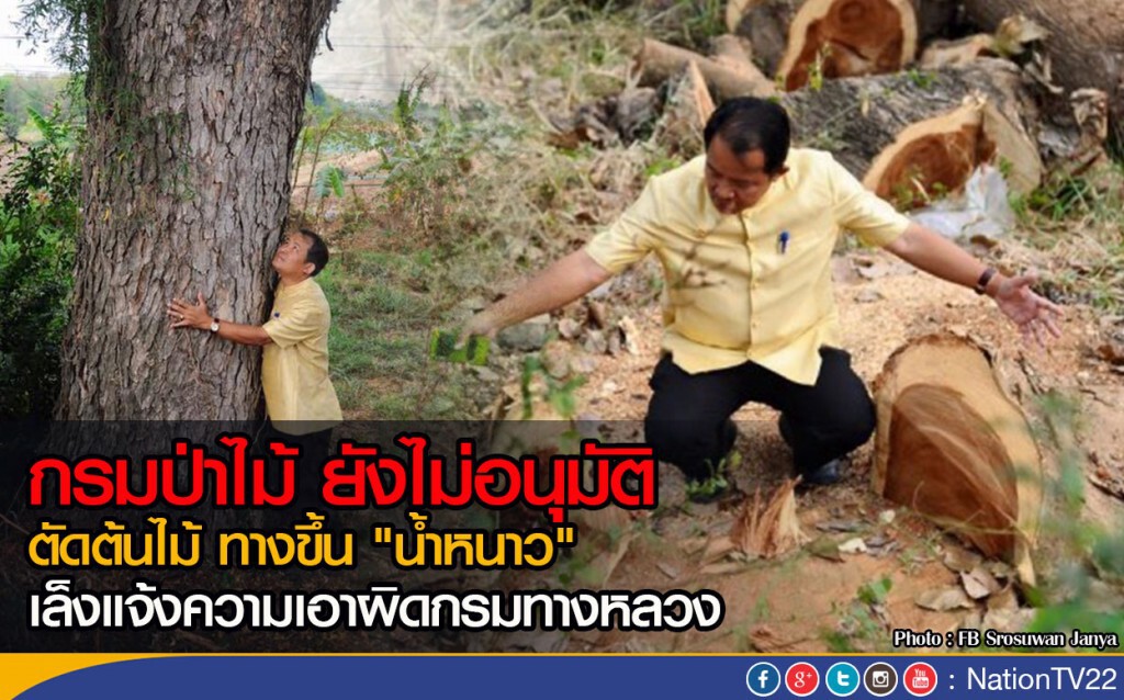 กรมป่าไม้ ยังไม่อนุมัติ
ตัดต้นไม้ ทางขึ้น "น้ำหนาว"
เล็งแจ้งความเอาผิดกรมทางหลวง กรมป่าไม้ ยังไม่อนุมัติ
ตัดต้นไม้ ทางขึ้น "น้ำหนาว"
เล็งแจ้งความเอาผิดกรมทางหลวง