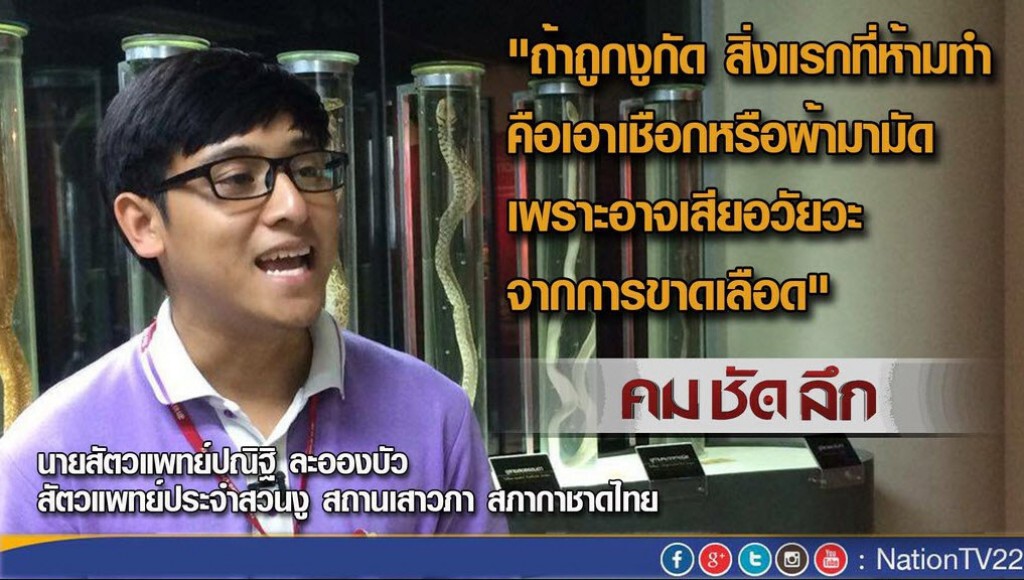 "คม ชัด ลึก" “รับมือ งูเข้าบ้าน”