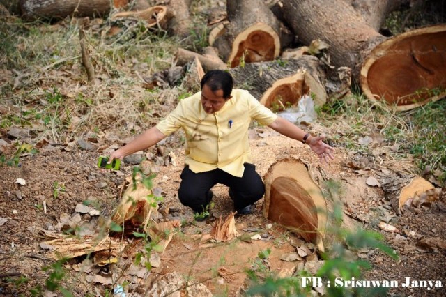 กรมป่าไม้ ยังไม่อนุมัติ
ตัดต้นไม้ ทางขึ้น "น้ำหนาว"
เล็งแจ้งความเอาผิดกรมทางหลวง