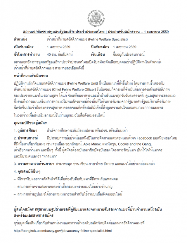 ฮือฮา! สถานทูตมะกัน รับสมัคร เจ้าหน้าที่ฝ่ายสวัสดิภาพแมว ต้อนรับเอพริลฟูลส์เดย์