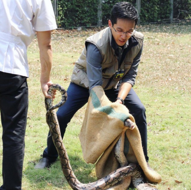 "คม ชัด ลึก" “รับมือ งูเข้าบ้าน”