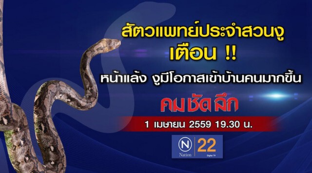 "คม ชัด ลึก" “รับมือ งูเข้าบ้าน”