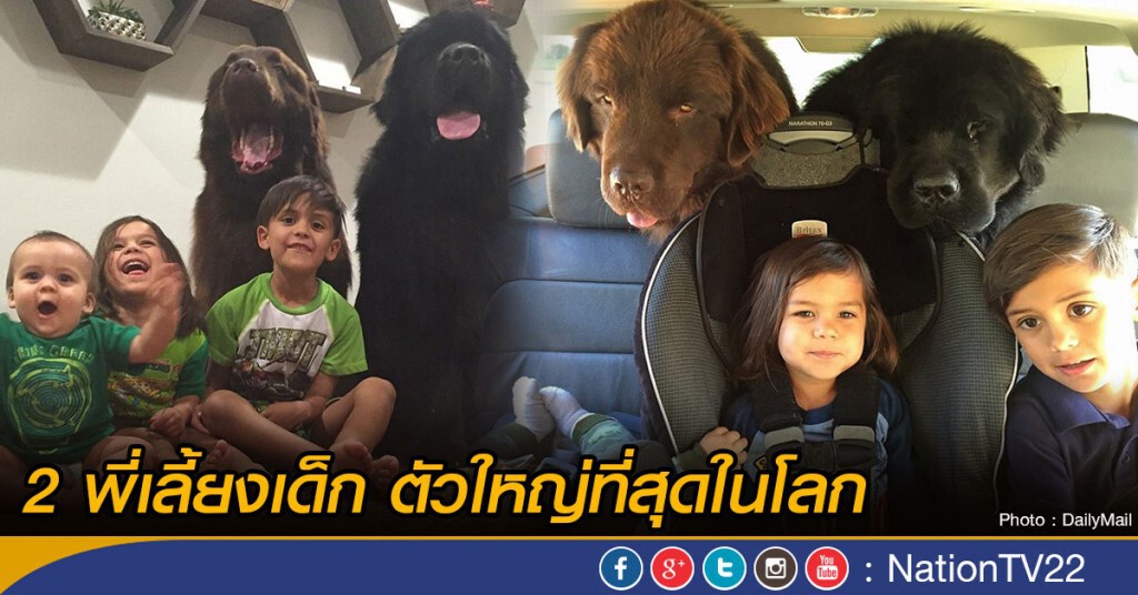 2 พี่เลี้่ยงเด็ก ตัวใหญ่ที่สุดในโลก 2 พี่เลี้่ยงเด็ก ตัวใหญ่ที่สุดในโลก