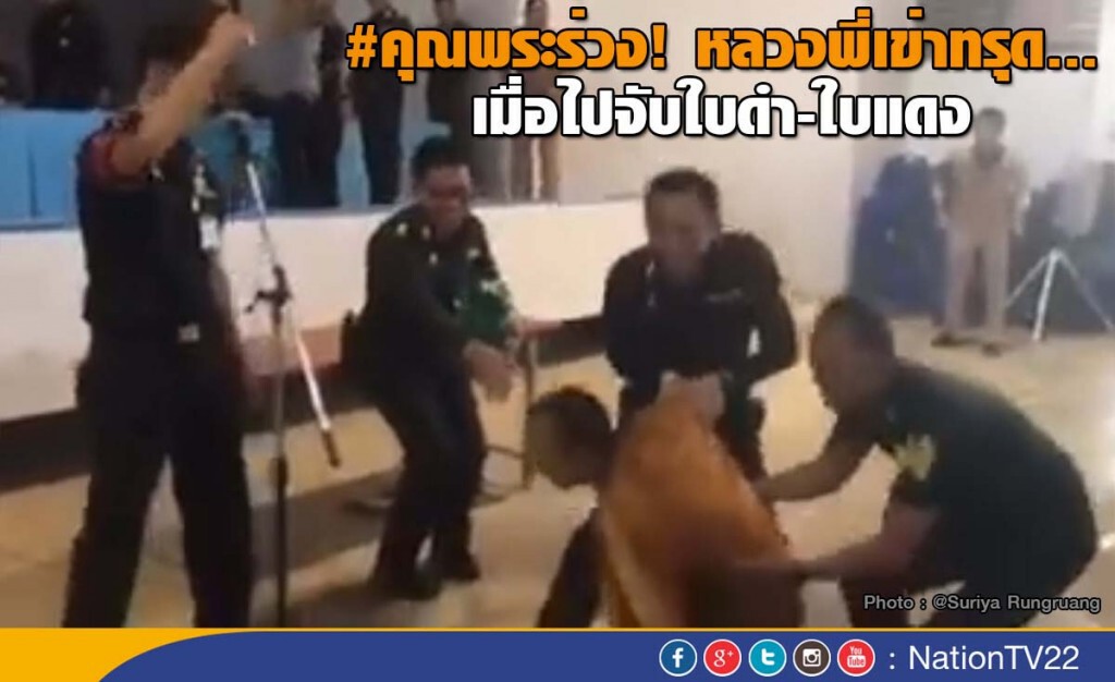 #คุณพระร่วง! หลวงพี่เข่าทรุด... เมื่อไปจับใบดำ-ใบแดง #คุณพระร่วง! หลวงพี่เข่าทรุด... เมื่อไปจับใบดำ-ใบแดง