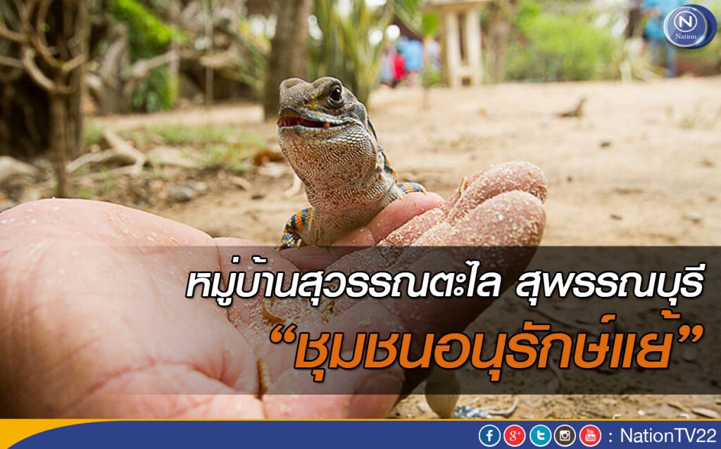 หมู่บ้านสุวรรณตะไล จ.สุพรรณบุรี “ชุมชนอนุรักษ์แย้” หมู่บ้านสุวรรณตะไล จ.สุพรรณบุรี “ชุมชนอนุรักษ์แย้”