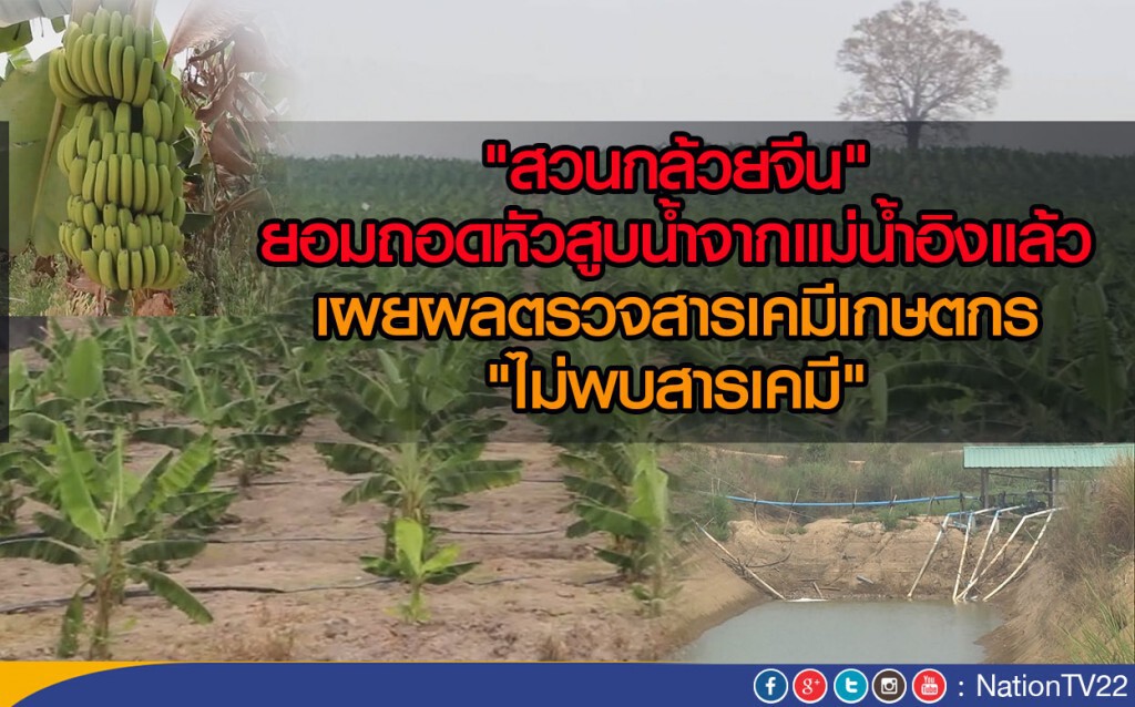 สวนกล้วยจีนยอมถอดหัวสูบ ปรับแผนใช้น้ำบาดาลแทน