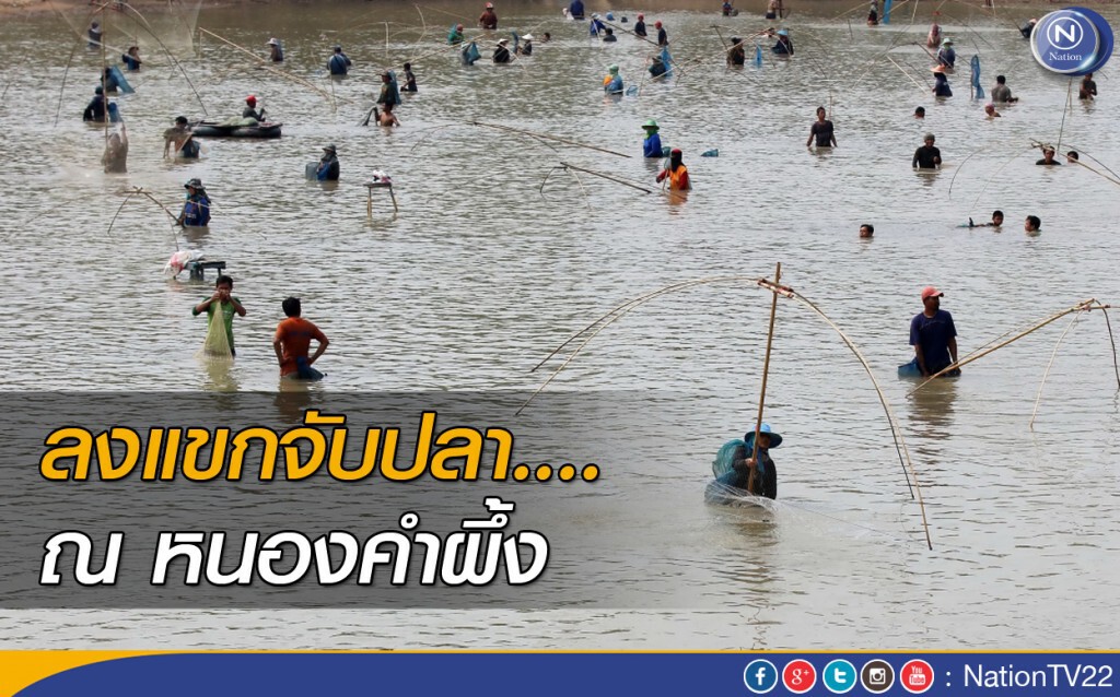 ลงแขกจับปลา.... ณ หนองคำผึ้ง ลงแขกจับปลา.... ณ หนองคำผึ้ง