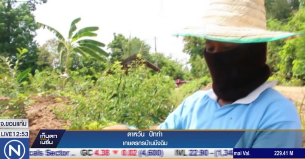พิษแล้ง หมู่บ้านปลูกผักต้องซื้อน้ำรดผัก พิษแล้ง หมู่บ้านปลูกผักต้องซื้อน้ำรดผัก