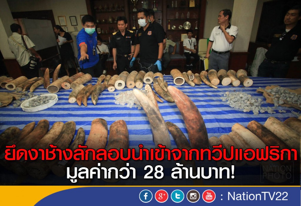 ยึดงาช้างลักลอบนำเข้าจากทวีปแอฟริกา มูลค่ากว่า 28 ล้านบาท ยึดงาช้างลักลอบนำเข้าจากทวีปแอฟริกา มูลค่ากว่า 28 ล้านบาท