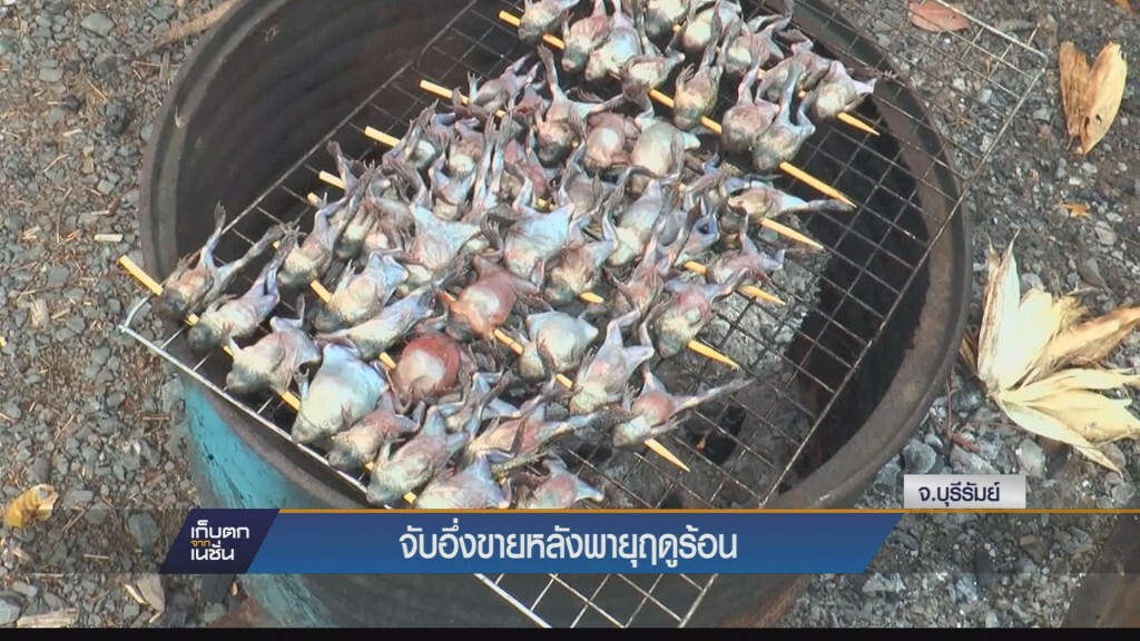 พลิกวิกฤติชาวบ้านจับอี่งขายหลังหายุฤดูร้อนและพายุลูกเห็บถล่ม พลิกวิกฤติชาวบ้านจับอี่งขายหลังหายุฤดูร้อนและพายุลูกเห็บถล่ม