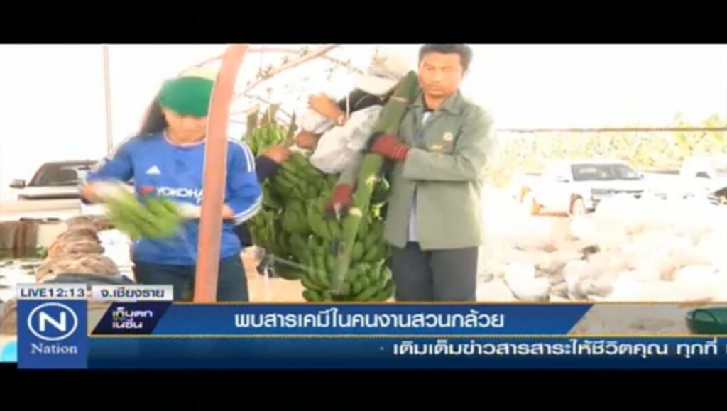 พบสารเคมีในคนงานสวนกล้วย พบสารเคมีในคนงานสวนกล้วย