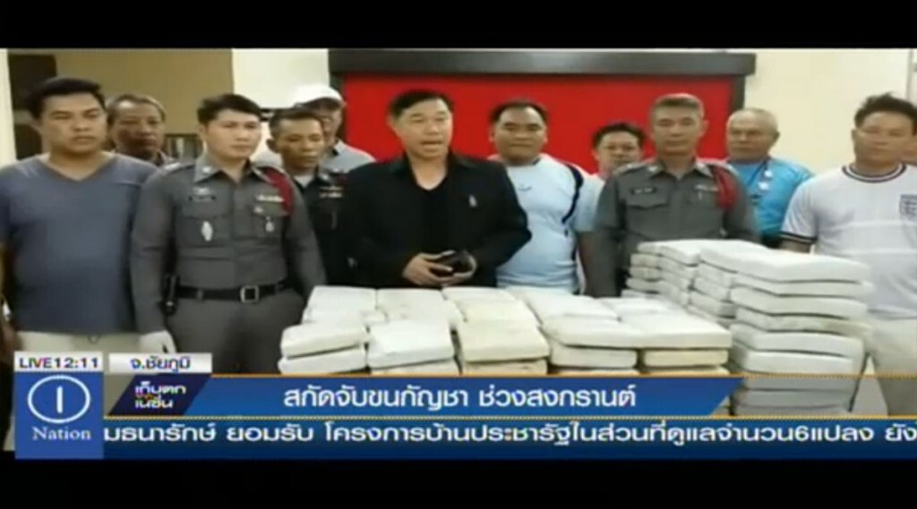 สกัดจับขนกัญชา ช่วงสงกรานต์ สกัดจับขนกัญชา ช่วงสงกรานต์